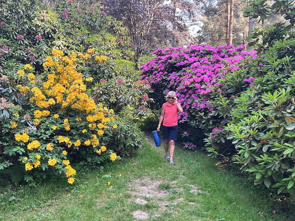 23-06-03 17-11-49 5819